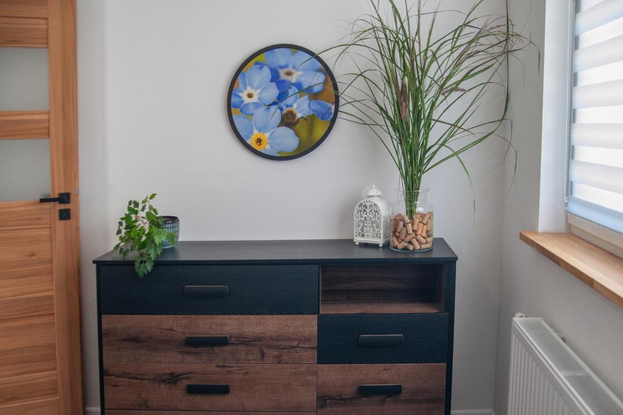 Apartament Niezapominajka Daire Warmbrunn Dış mekan fotoğraf
